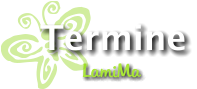 LamiMa Termine